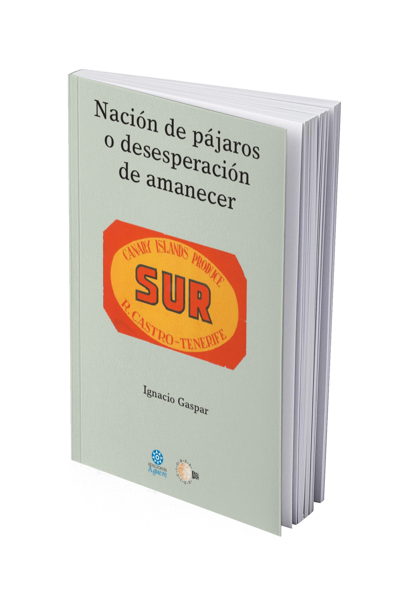 Nación de pájaros o desesperación de amanecer