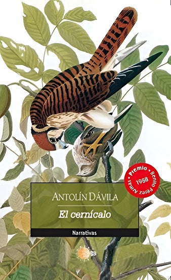 El cernícalo